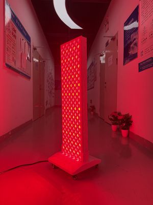 خرید High Power 2000W Red + Near Infrared Light Panel – OEM Factory with Pulse Mode & Brightness Control ساخت آنلاین