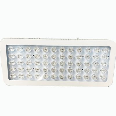 خرید 300W 850nm نور قرمز و درمان با نور مادون قرمز نزدیک برای درد زانو ساخت آنلاین