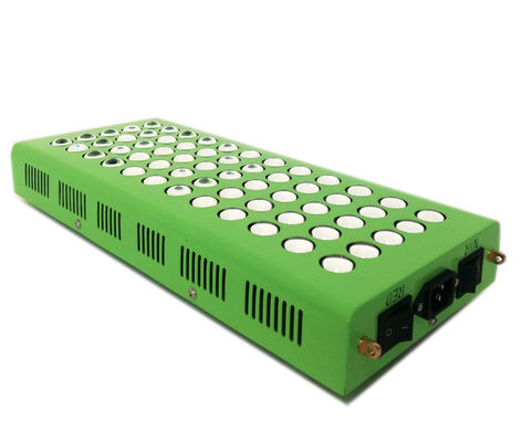 خرید 300w 660nm 850nm نور مادون قرمز ضد پیری برای درد زانو ساخت آنلاین