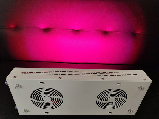 600w مراقبت از بدن دستگاه درمان با نور قرمز نیر قرمز طیف سفارشی برای پوست بی نقص
