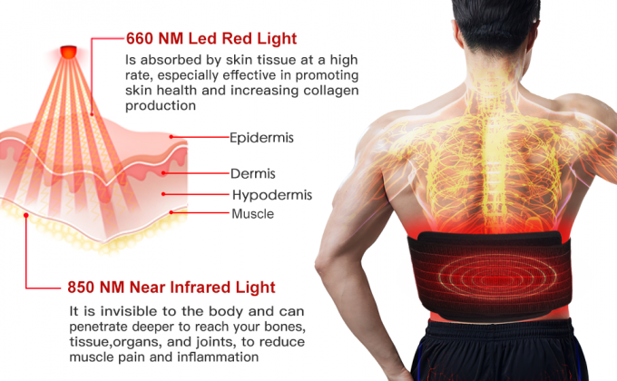 کمربند بسته بندی پد بدنه دستگاه نور درمانی LED 850 نانومتری کاهش وزن 0