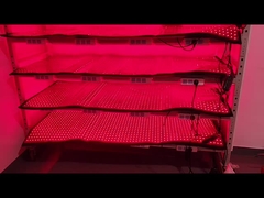 660nm 850nm روش درمان نور قرمز 120pcs دستگاه های کاهش وزن LED