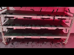 کمربند ضد پیری لیزر لیپو 660nm 850nm کمربند درمان نور قرمز